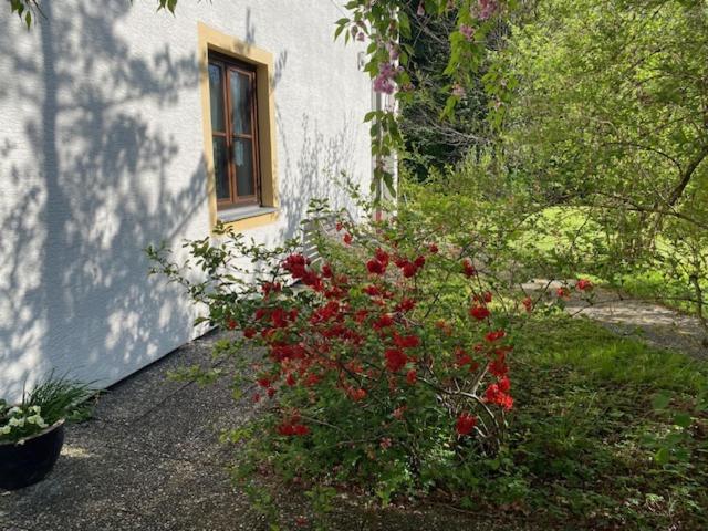 Ferienwohnungen Hanke Barbara Piding Esterno foto